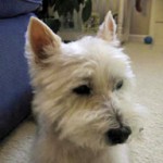 Duffy