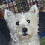 Tillie